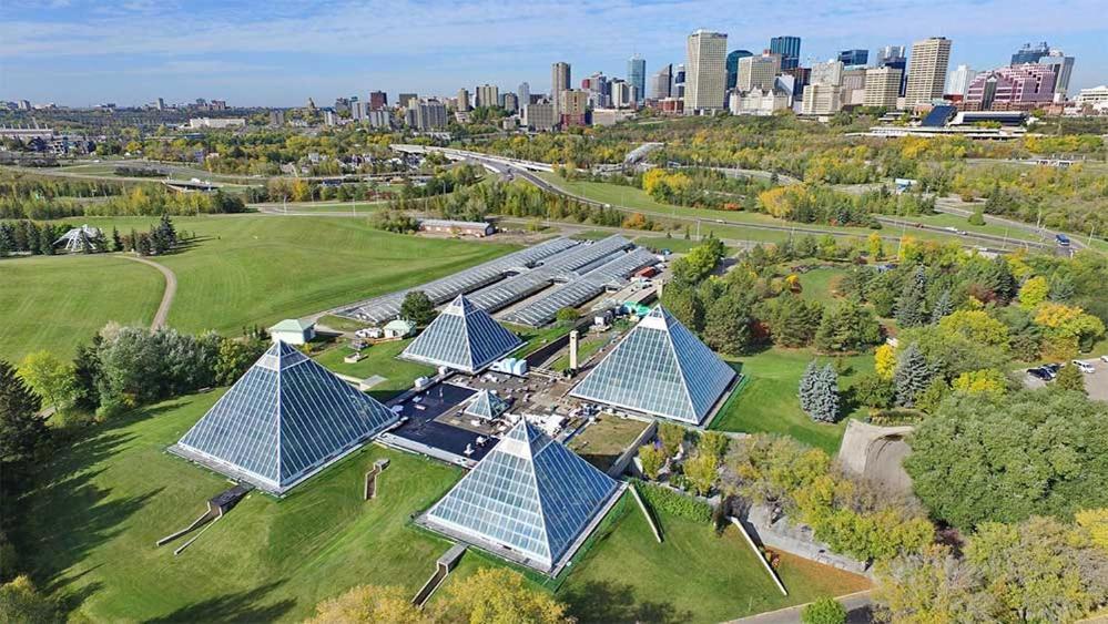 Vibrant Modern Oasis - Free Parking, Netflix, Fast Wi-Fi - Long Stays Welcome Edmonton Buitenkant foto